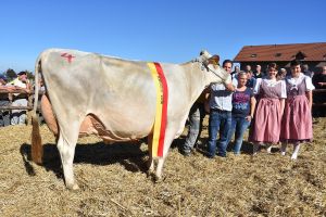 6 Schneuter ltere